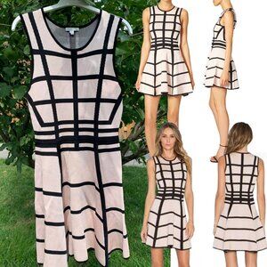RONNY KOBO Window Stretch Knit Dress - Pale Pink & Black - Sz L